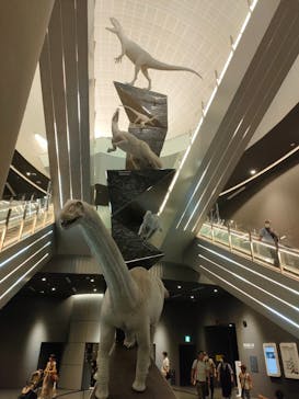 福井県立恐竜博物館に投稿された画像（2023/9/18）