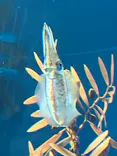 サンシャイン水族館に投稿された画像（2023/9/18）