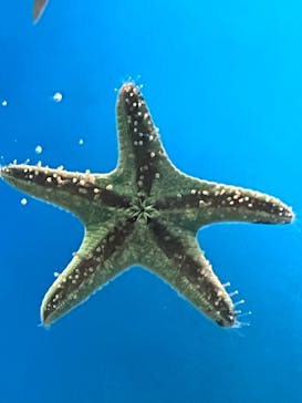 サンシャイン水族館に投稿された画像（2023/9/18）