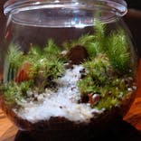 minneのハンドメイドマーケット2023に投稿された画像（2023/9/18）