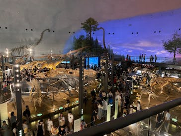 福井県立恐竜博物館に投稿された画像（2023/9/18）