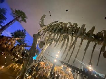 福井県立恐竜博物館に投稿された画像（2023/9/18）