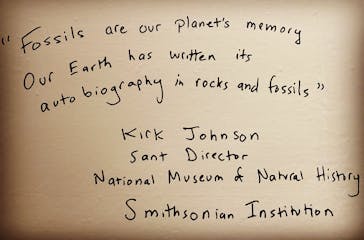 大阪市立自然史博物館に投稿された画像（2023/9/18）