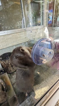 下田海中水族館に投稿された画像（2023/9/18）