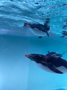 AOAO SAPPOROに投稿された画像（2023/9/18）