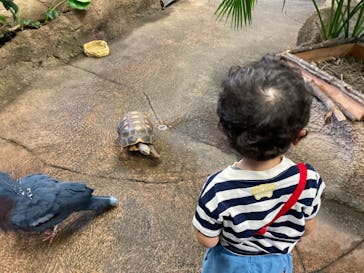 那須どうぶつ王国に投稿された画像（2023/9/18）