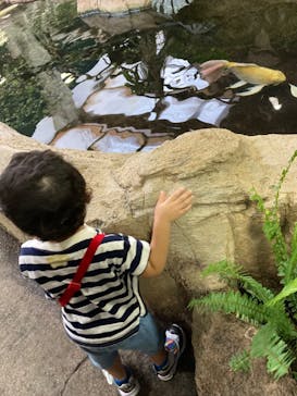 那須どうぶつ王国に投稿された画像（2023/9/18）