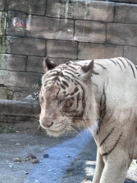 東武動物公園に投稿された画像（2023/9/18）