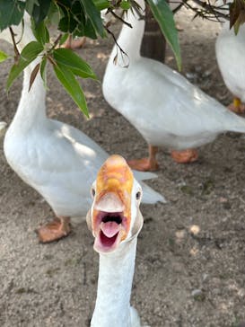東武動物公園に投稿された画像（2023/9/18）