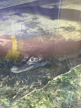 東武動物公園に投稿された画像（2023/9/18）