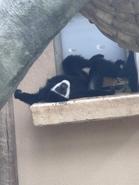 東武動物公園に投稿された画像（2023/9/18）