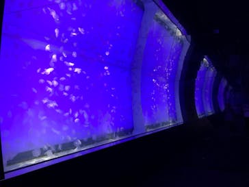 アクアワールド茨城県大洗水族館に投稿された画像（2023/9/18）