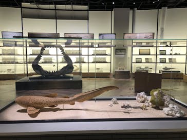 アクアワールド茨城県大洗水族館に投稿された画像（2023/9/18）