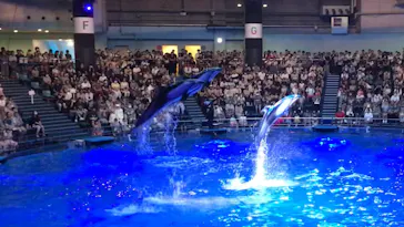 マクセル アクアパーク品川に投稿された画像（2023/9/18）