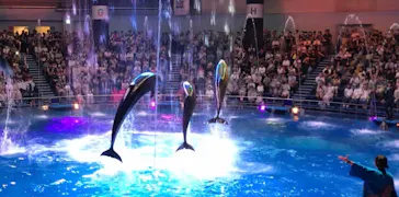 マクセル アクアパーク品川に投稿された画像（2023/9/18）