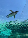 天王寺動物園に投稿された画像（2023/9/18）