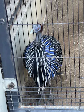 天王寺動物園に投稿された画像（2023/9/18）