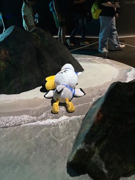 上越市立水族博物館 うみがたりに投稿された画像（2023/9/18）