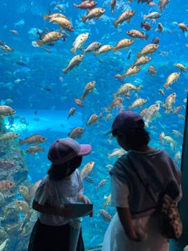 上越市立水族博物館 うみがたりに投稿された画像（2023/9/18）