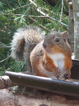 那須どうぶつ王国に投稿された画像（2023/9/18）