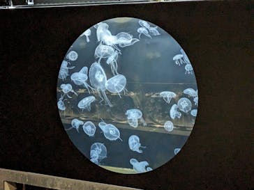 AOAO SAPPOROに投稿された画像（2023/9/18）