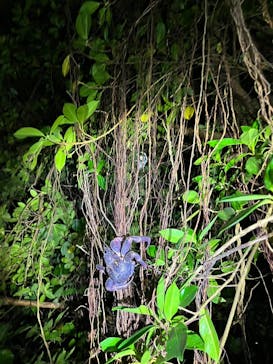 宮古島 ADVENTURE PiPi（ミヤコジマ アドベンチャー ピピ）に投稿された画像（2023/9/18）