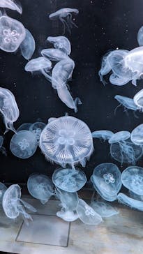 AOAO SAPPOROに投稿された画像（2023/9/18）