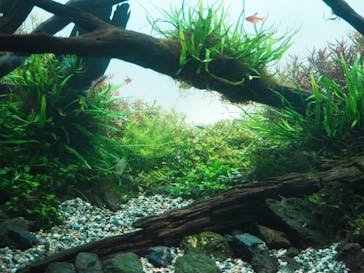 AOAO SAPPOROに投稿された画像（2023/9/18）