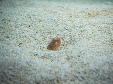 AOAO SAPPOROに投稿された画像（2023/9/18）