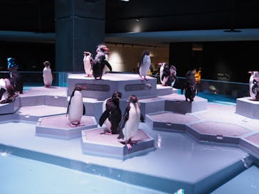 AOAO SAPPOROに投稿された画像（2023/9/18）