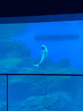仙台うみの杜水族館に投稿された画像（2023/9/18）
