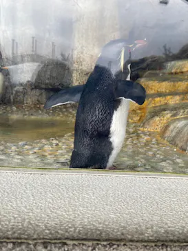 仙台うみの杜水族館に投稿された画像（2023/9/18）