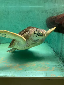 仙台うみの杜水族館に投稿された画像（2023/9/18）