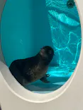 天王寺動物園に投稿された画像（2023/9/18）