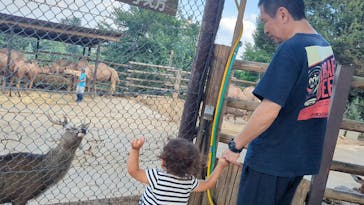 群馬サファリパークに投稿された画像（2023/9/18）