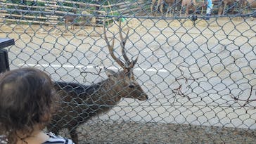 群馬サファリパークに投稿された画像（2023/9/18）