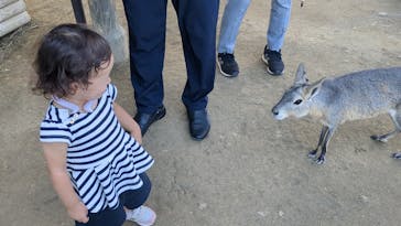 群馬サファリパークに投稿された画像（2023/9/18）