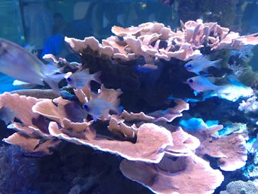 名古屋港水族館に投稿された画像（2023/9/18）