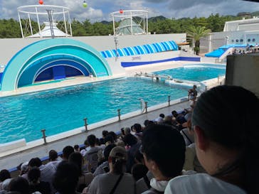 鴨川シーワールドに投稿された画像（2023/9/18）