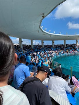 鴨川シーワールドに投稿された画像（2023/9/18）