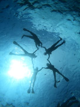 沖縄マリンサービス碧に投稿された画像（2023/9/18）