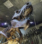 国立科学博物館に投稿された画像（2023/9/18）