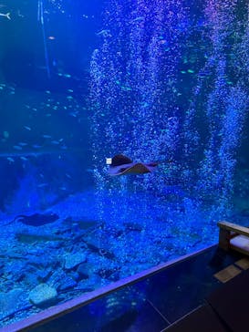 南知多ビーチランド＆南知多おもちゃ王国に投稿された画像（2023/9/18）