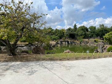 元離宮二条城に投稿された画像（2023/9/18）