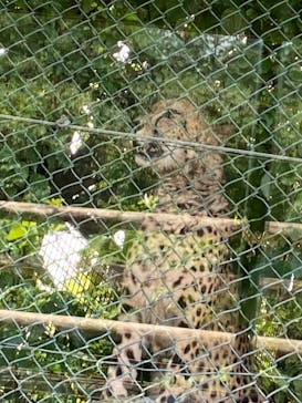 群馬サファリパークに投稿された画像（2023/9/18）