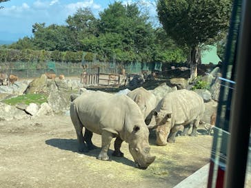 群馬サファリパークに投稿された画像（2023/9/18）