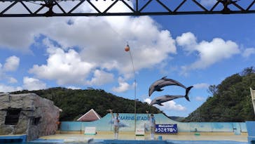 下田海中水族館に投稿された画像（2023/9/18）