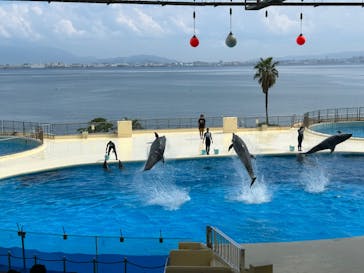 マリンワールド海の中道に投稿された画像（2023/9/18）