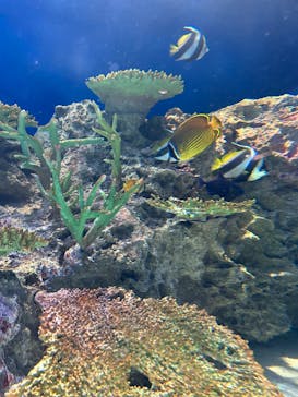 マリンワールド海の中道に投稿された画像（2023/9/18）