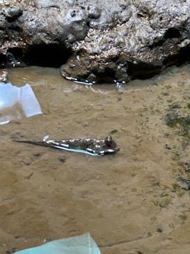 マリンワールド海の中道に投稿された画像（2023/9/18）